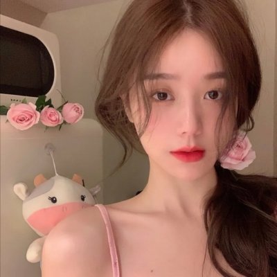 亚西西的圣方济各